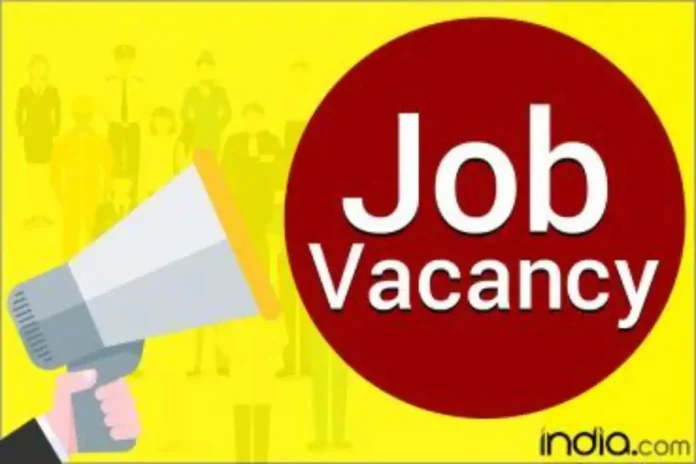 Hiring Alert: From Bank Jobs to OAVS Teacher Recruitment; Check List Of Posts To Apply For This Week